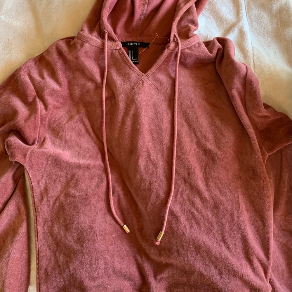 Forever 21 Velvet Cropped Hoodie